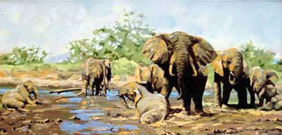 ELEPHANTS after Sheppard